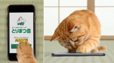 テレビCM・動画配信広告