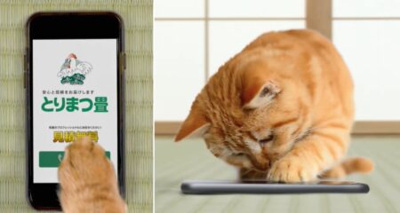 テレビCM・動画配信広告
